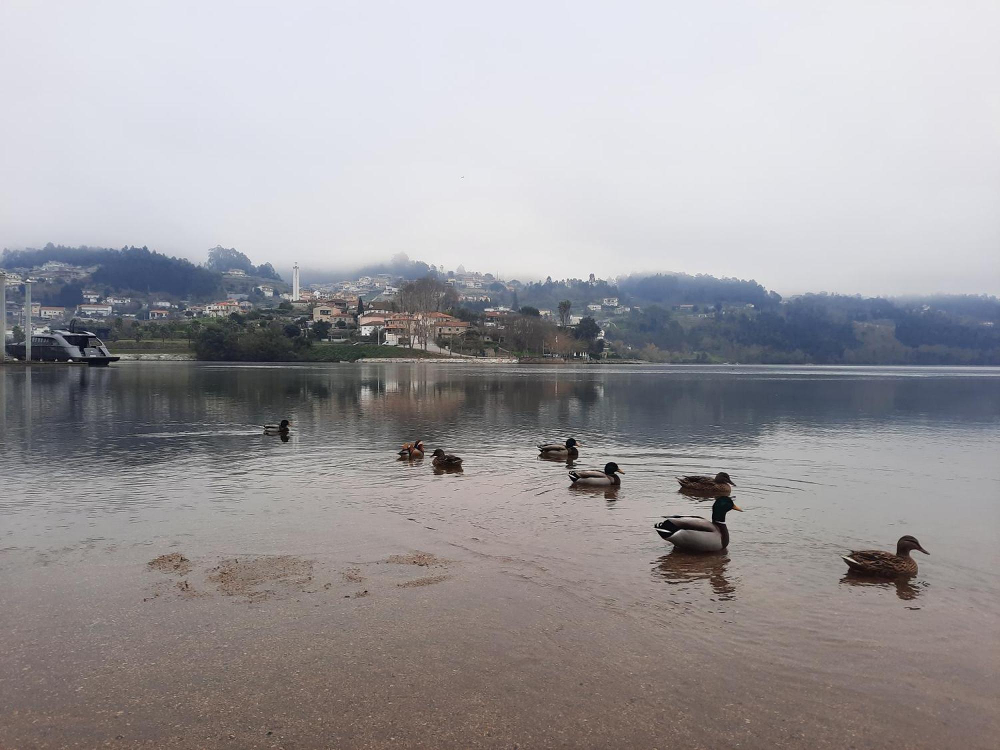 Burguesinha Al Entre-Os-Rios公寓 外观 照片
